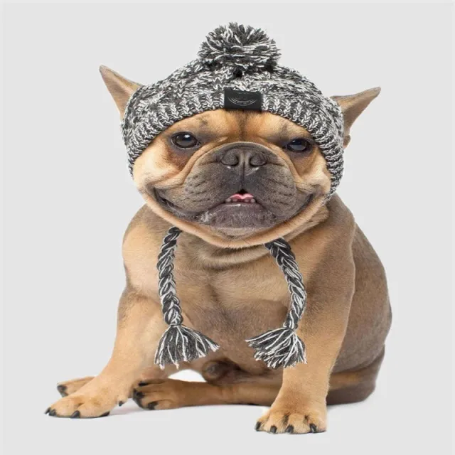 Pet dog autumn and winter woolen hat Grey - Shop at LoveMi