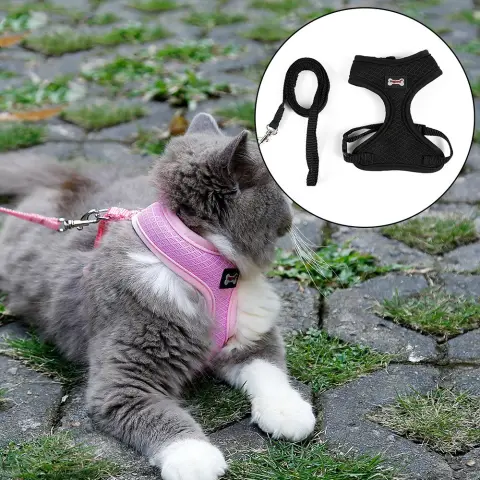 Anti-skidding Cat Harness