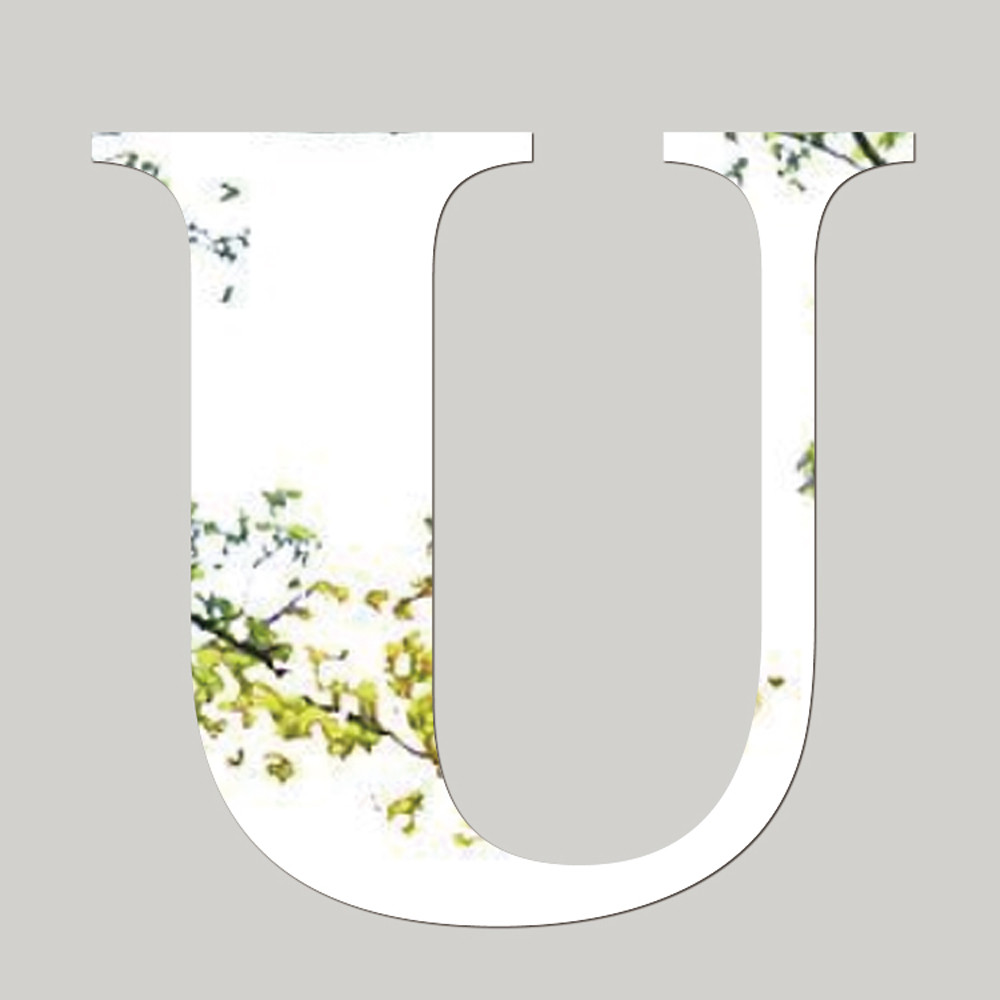 U