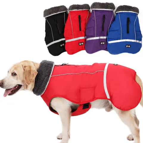 Reflective Warm Clothing for Big Dog
