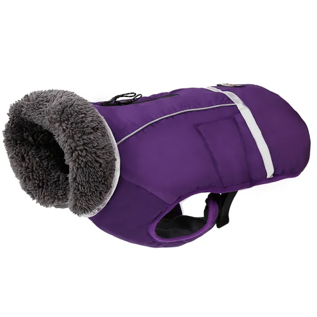 Reflective warm clothing for big dog Purple - Shop at LoveMi