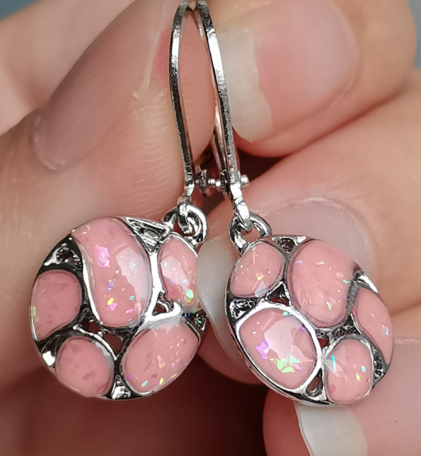 Exquisite earrings High-end gift box