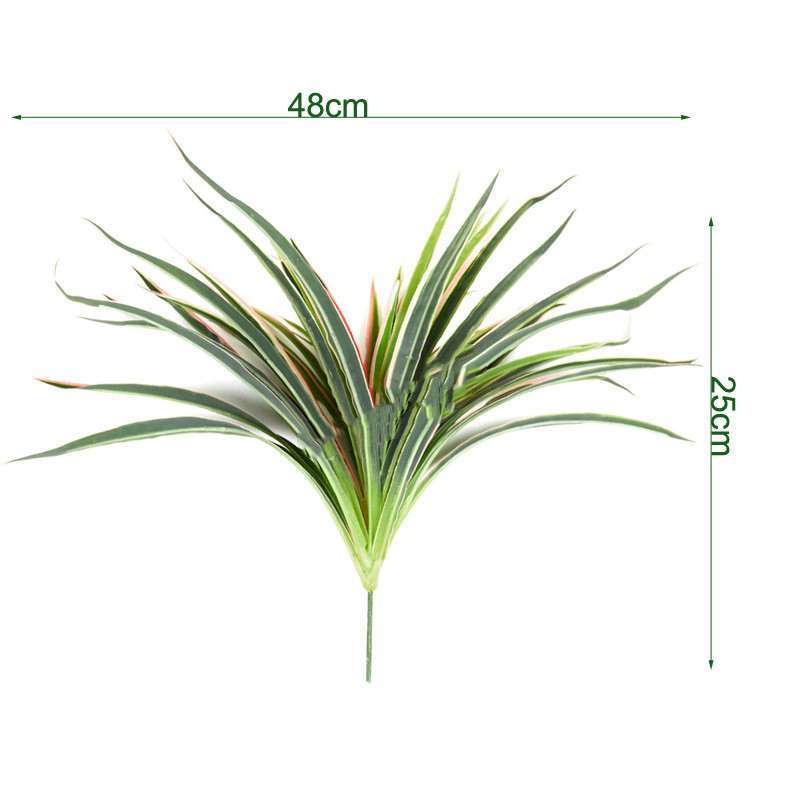 50 leaf red edge grass