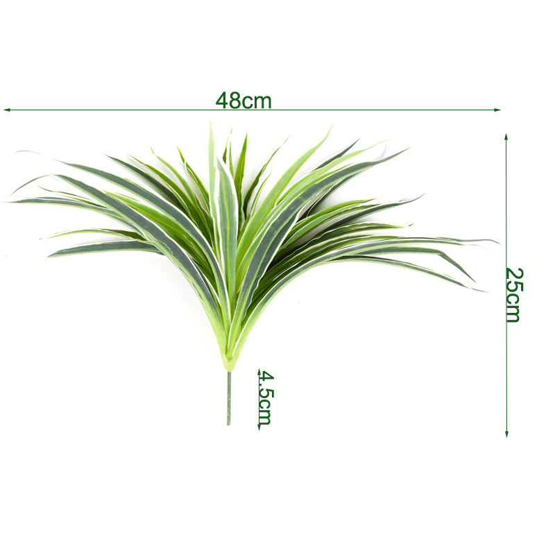 50 leaf white edge grass