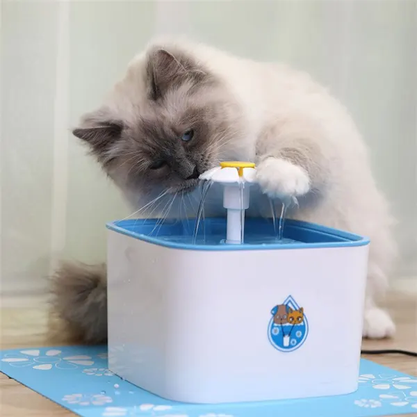 Automatic Water Dispenser