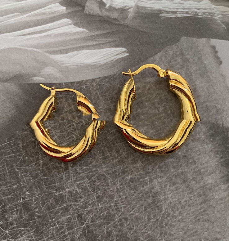 Temperament twisted circle earrings high sense