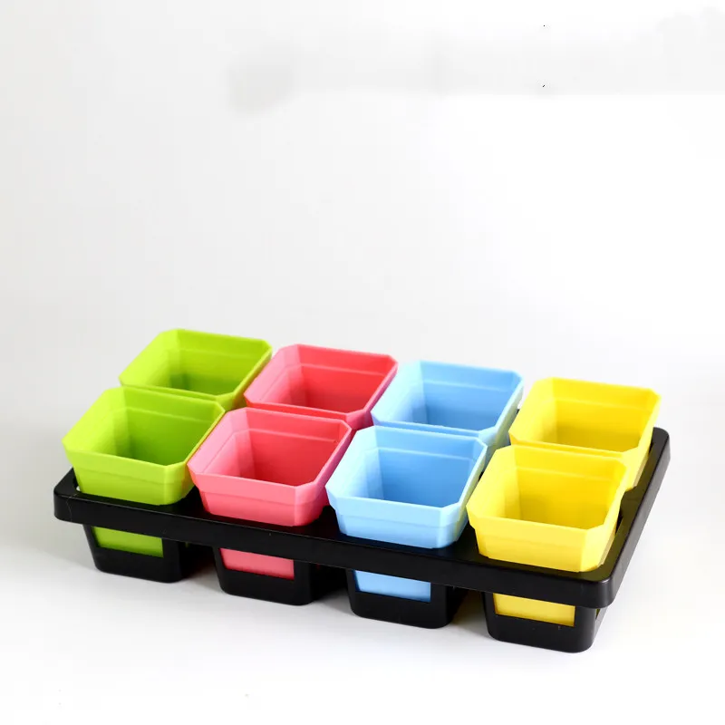Succulents square pot - Color