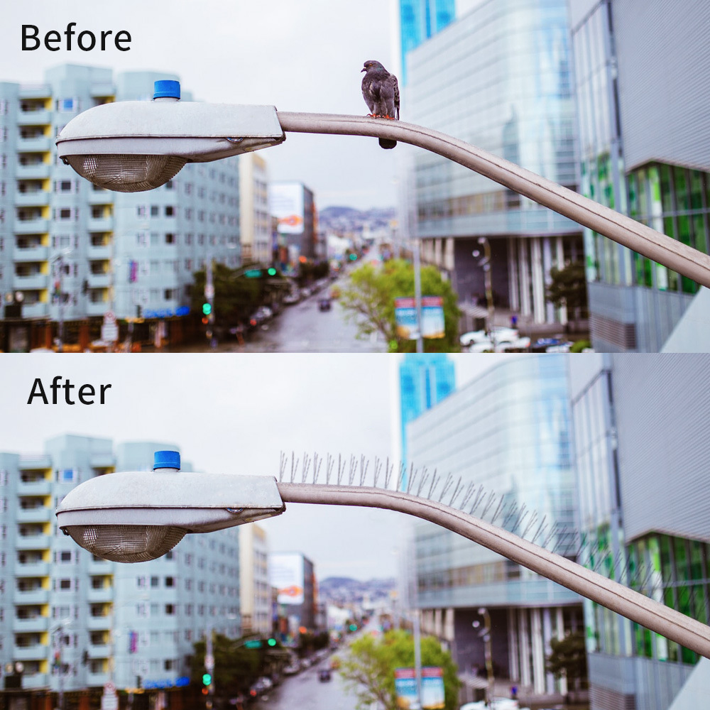 Bird repellent and bird thorn repellent — foto 2