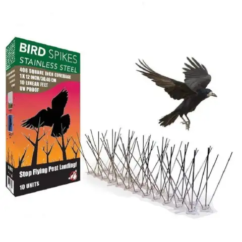 Bird Repellent and Thorn