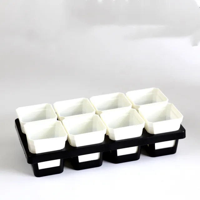 Succulents square pot White - Shop at LoveMi