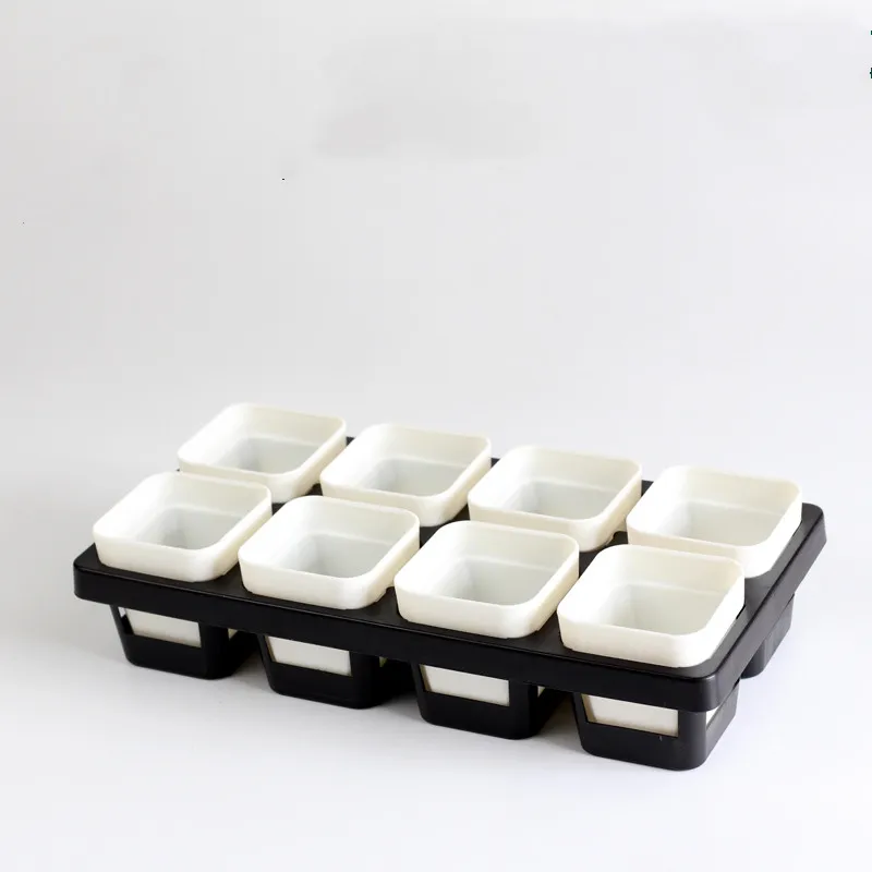 Succulents square pot - 1White