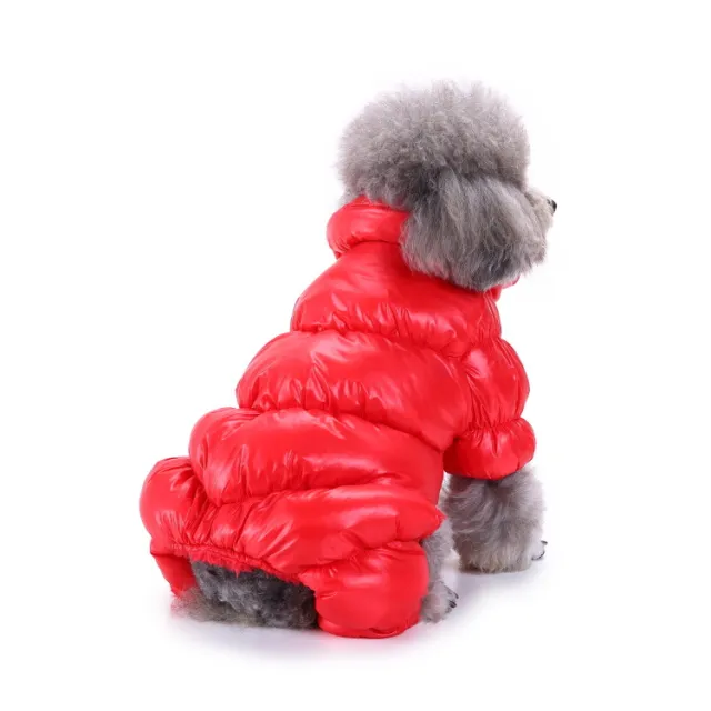 Four foot new dog clothes for autumn and winter Red - Shop at LoveMi