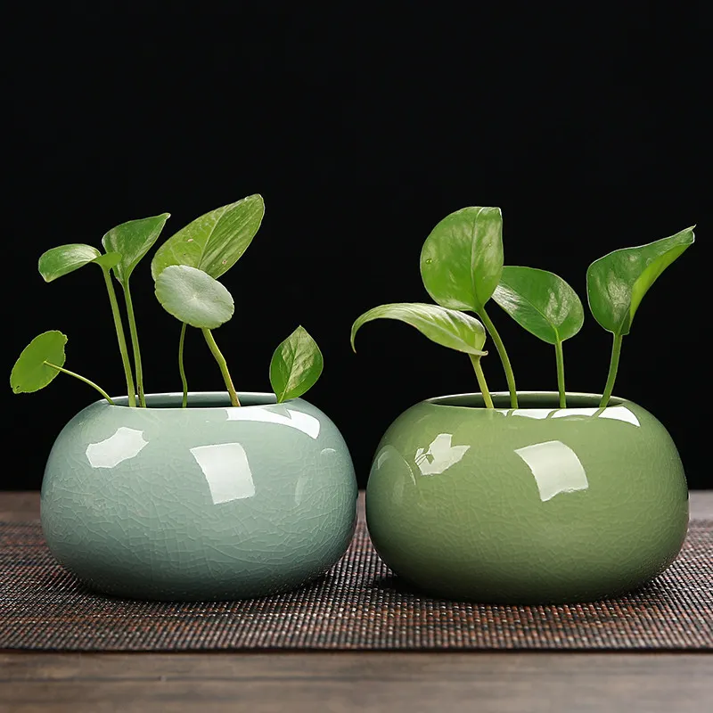Geyao ceramic copper money grass hydroponics - 2 Piece Set