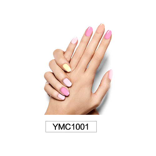 YMC1001