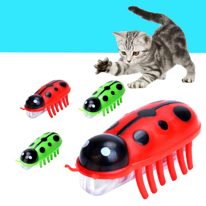 A cat toy that vibrates and runs
