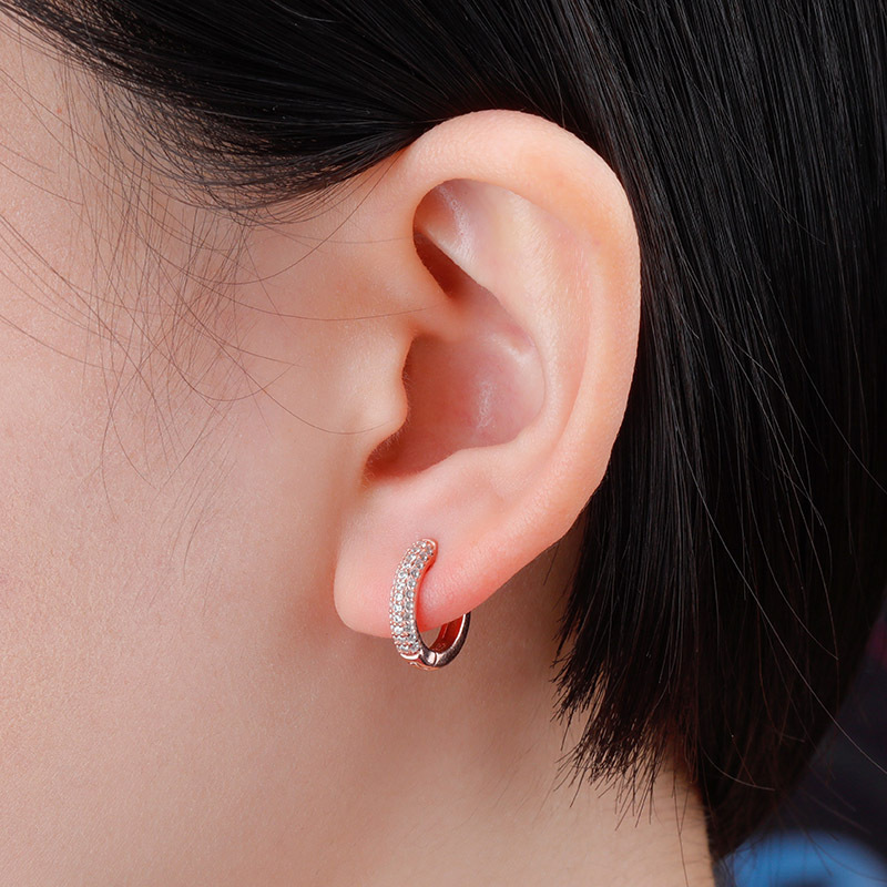 Silver zircon Round Earrings