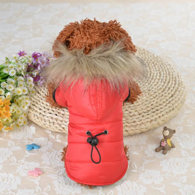 Pet clothing winter down padded jacket Red - Shop at LoveMi