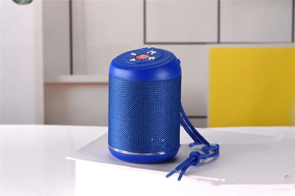 Portable Outdoor Subwoofer