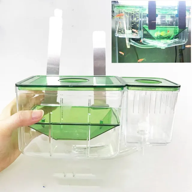 Hatching box guppy sick fish isolation box fighting fish Photo Color - Shop at LoveMi