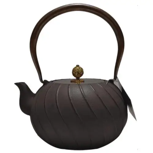 Daiji unglazed cast iron teapot