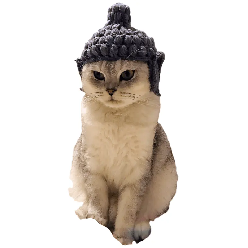 Buddha wool Cat Hat pet knitting cos