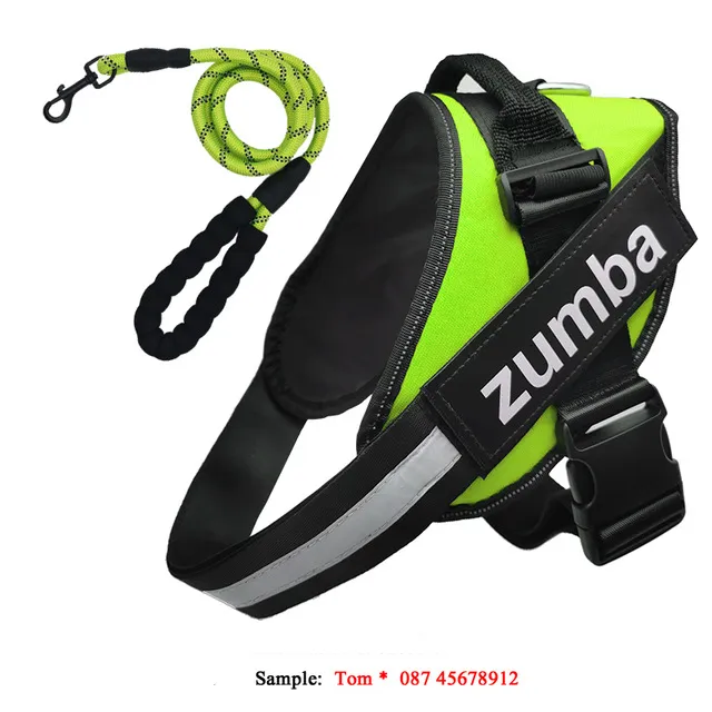 Personalised Reflective Breathable Adjustable Dog Harness and Leash Set - Green Set