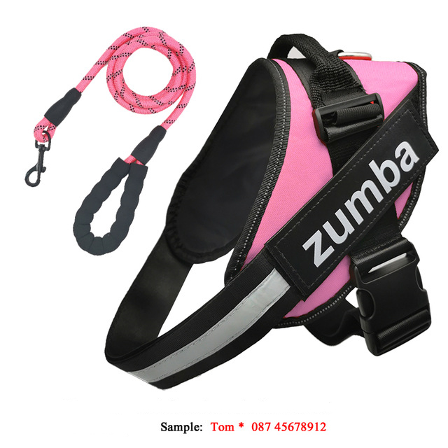 Personalized Reflective Breathable Adjustable Dog Harness and Leash Set Pink Set - Shop at LoveMi