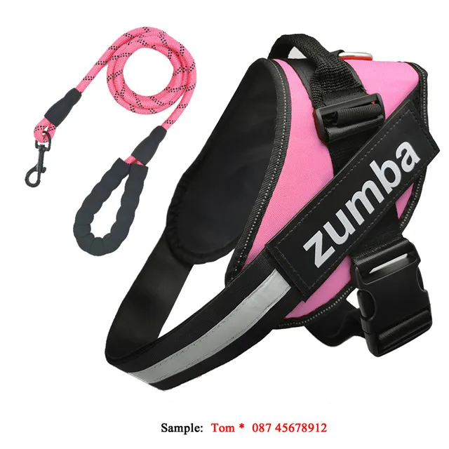 Personalized Reflective Breathable Adjustable Dog Harness and Leash Set Pink Set - Shop at LoveMi