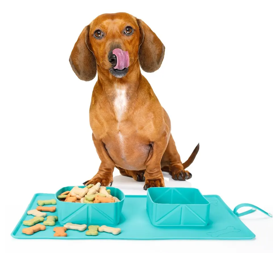 Dogs Puppy Bowls Silicone
