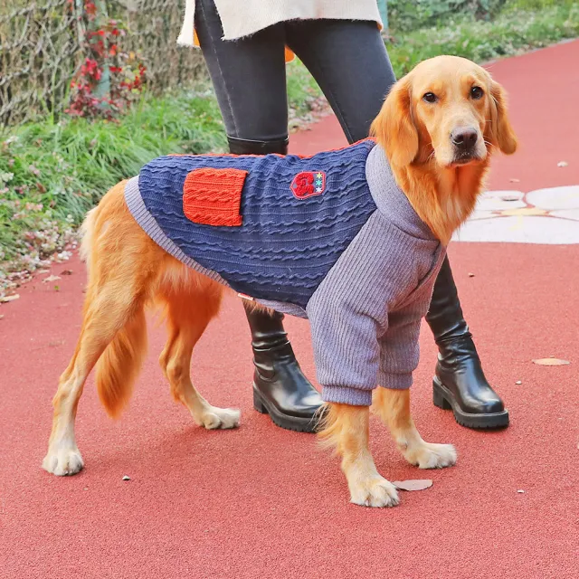 Winter warm golden retriever clothes Orange Blue - Shop at LoveMi