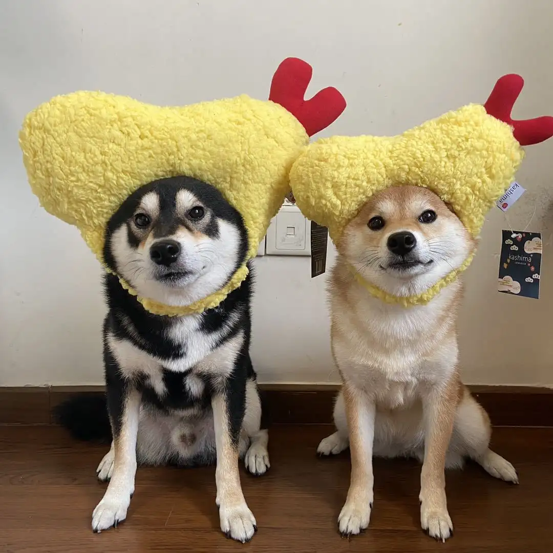 Tempura hat fried shrimp headgear