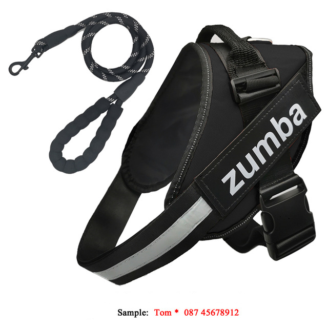 Personalized Reflective Breathable Adjustable Dog Harness and Leash Set Black Set - Shop at LoveMi