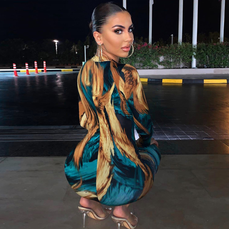 Printed bag hip long sleeve dress