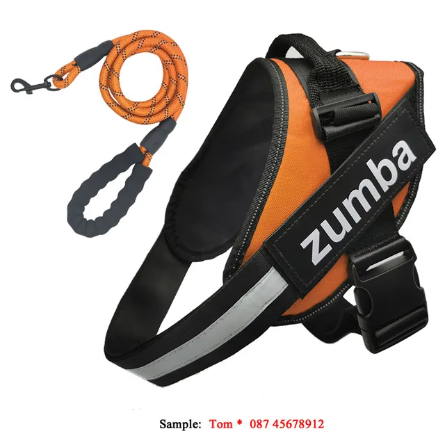 Personalized Reflective Breathable Adjustable Dog Harness and Leash Set Orange Set - Shop at LoveMi