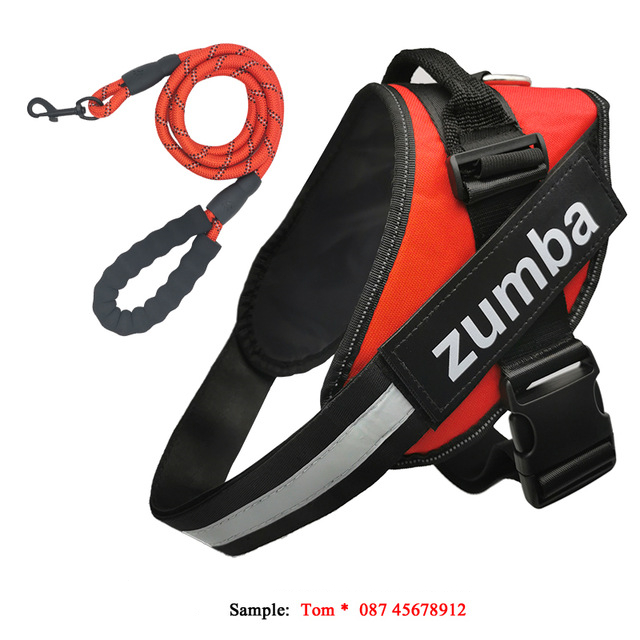 Personalized Reflective Breathable Adjustable Dog Harness and Leash Set Red Set - Shop at LoveMi