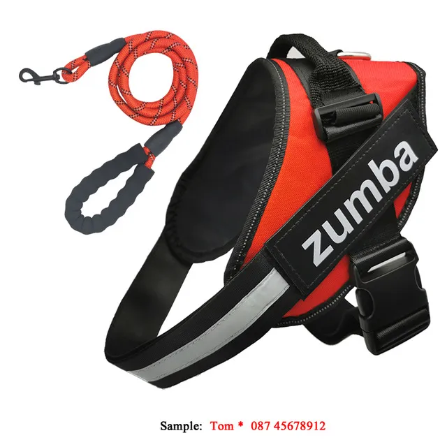 Personalised Reflective Breathable Adjustable Dog Harness and Leash Set - Red Set