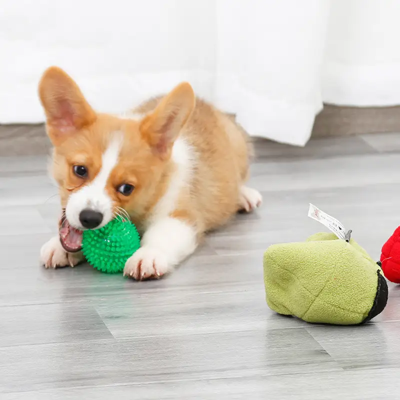 Educational Leaking and Sounding Dog Toy