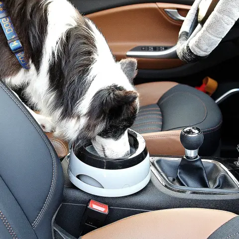 Pet Dog Bowls Floating Not Wetting Mouth Cat Bowl