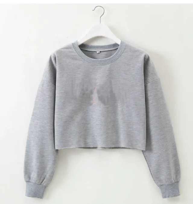 Solid color round neck long sleeve sweater Grey - Shop at LoveMi