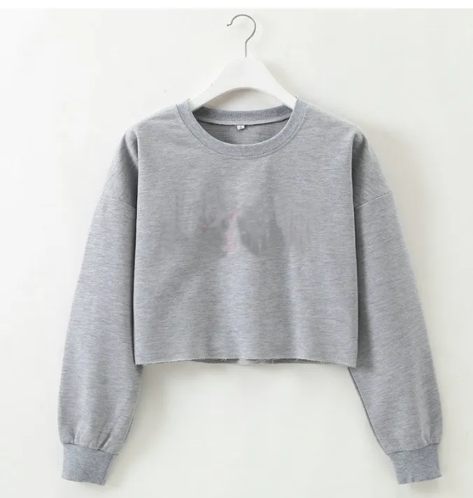 Solid color round neck long sleeve sweater - Grey