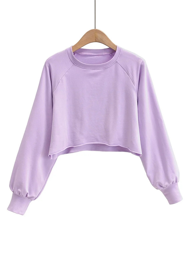 Casual fashion frayed short sweater