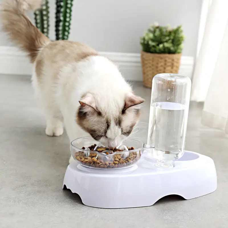 Transparent plastic feeding and drinking bowl