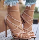 Apricot