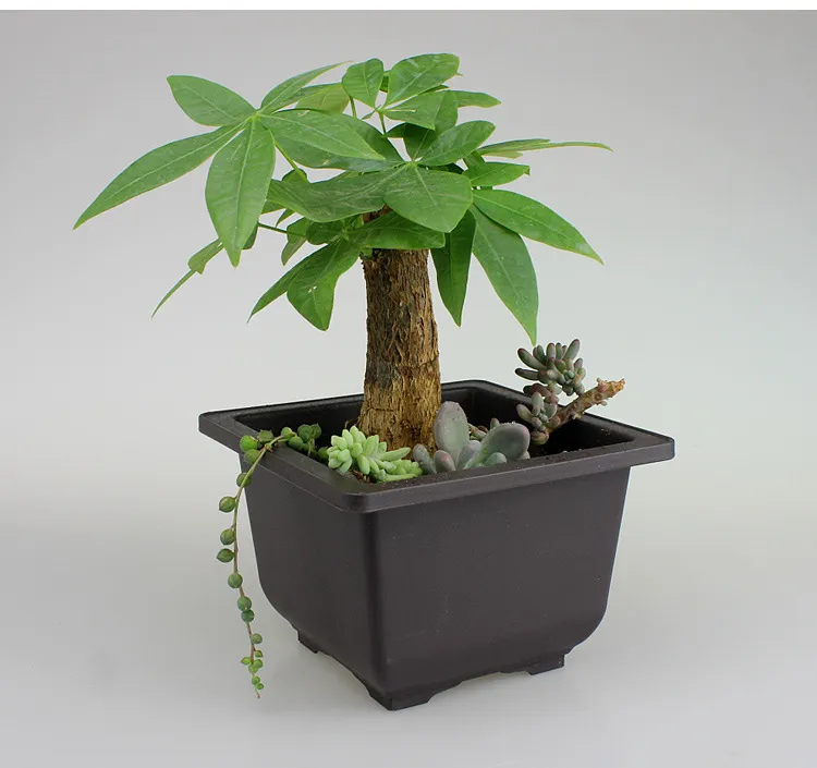 Garden supplies antique plant plastic flowerpot – image 2