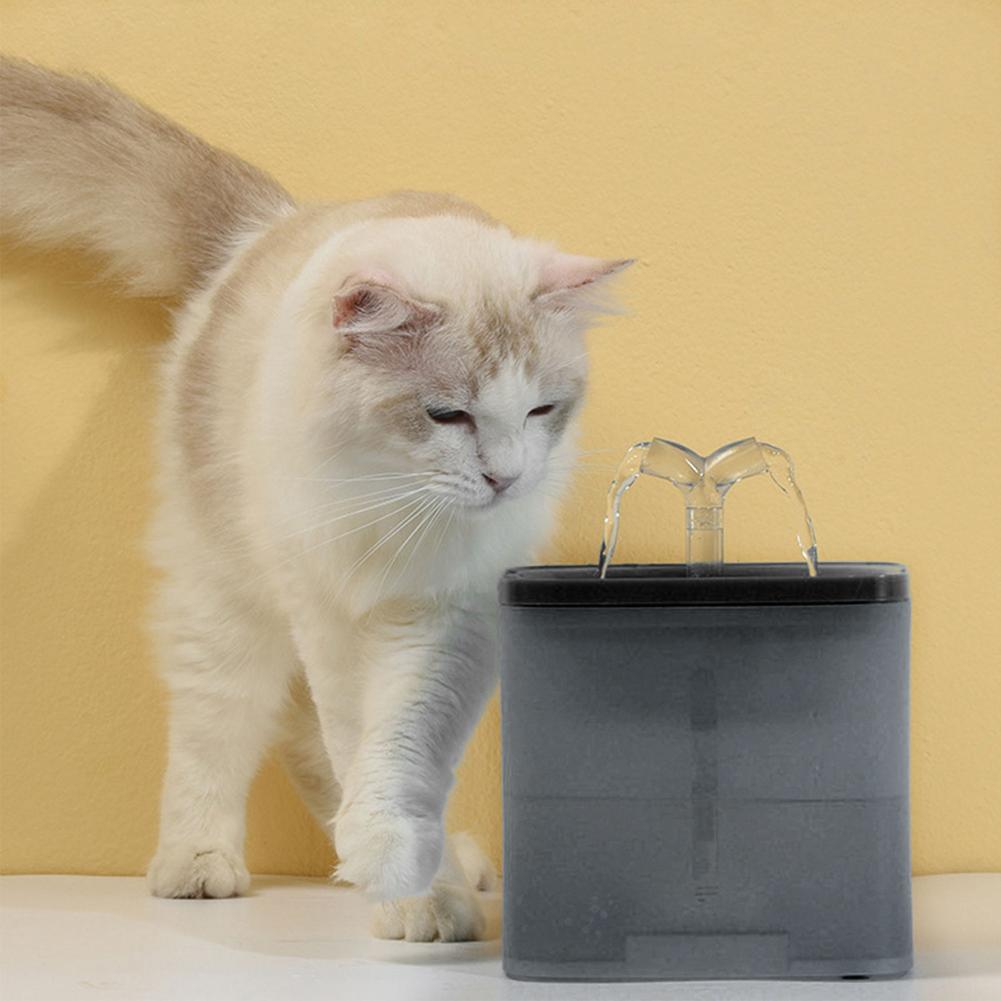 Automatic circulation of filter element of pet water dispenser