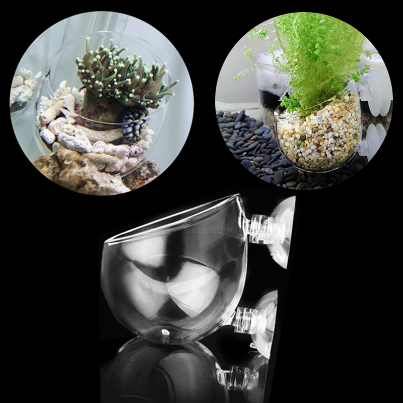 Polka-type aquatic grass breeding and landscaping pot
