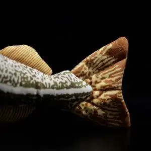 Super cute cod plush toy doll cute simulation Pacific cod plush toy model gift