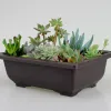 Garden supplies antique plant plastic flowerpot
