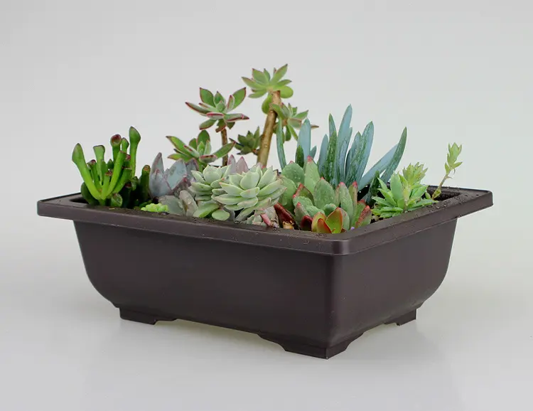 Garden Supplies Antique Plant Plastic Flowerpot