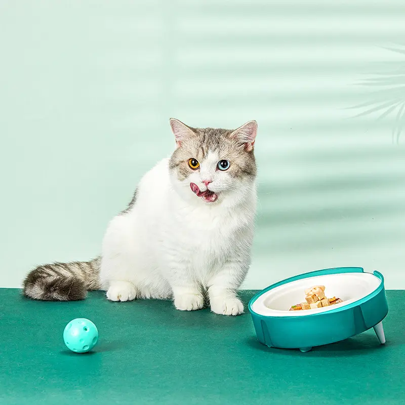 Cat Disposable Food Bowl Replaceable Portable Dog Feeders Cat